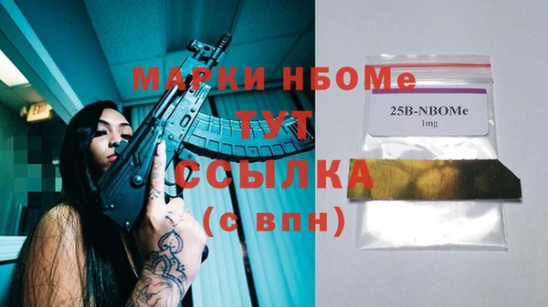 твердый Слюдянка