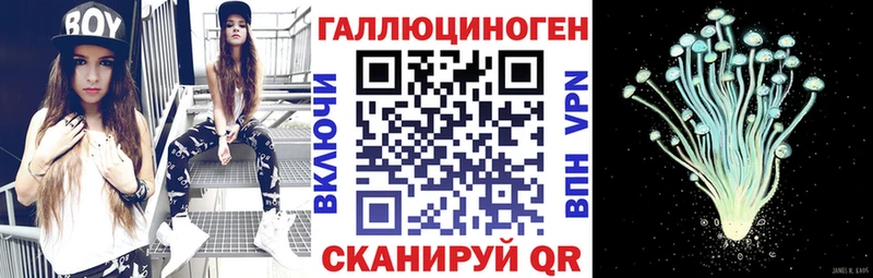 mega зеркало  Междуреченск  Галлюциногенные грибы Cubensis 