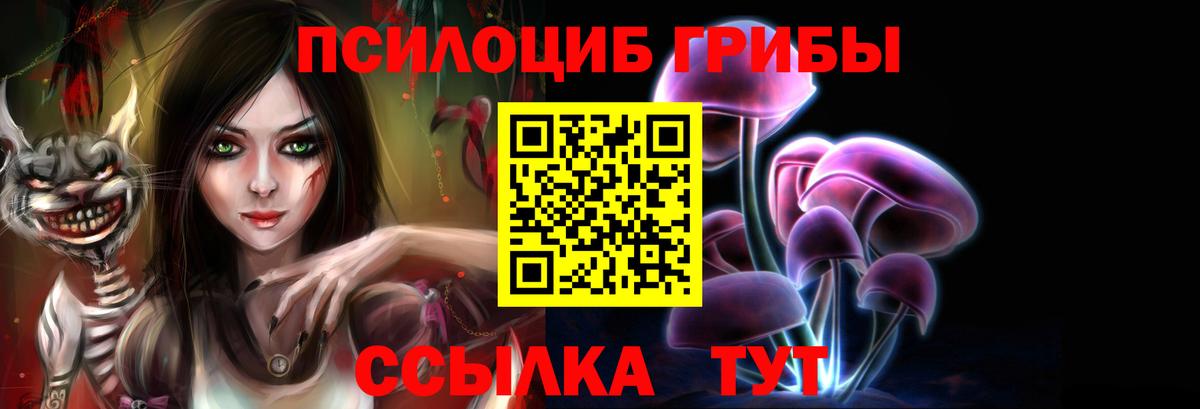 Междуреченск  Галлюциногенные грибы MAGIC MUSHROOMS  Вход с VPN  Галлюциногенные грибы Psilocybe 